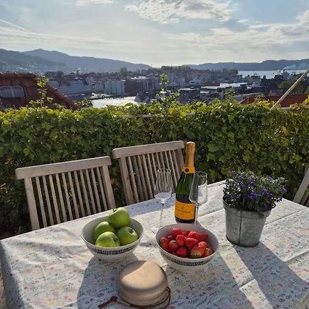 2-roms Med Spektakulaer Utsikt Og Privat Hage Apartamento